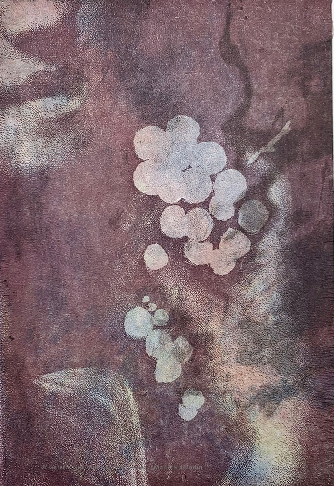 Bacchus