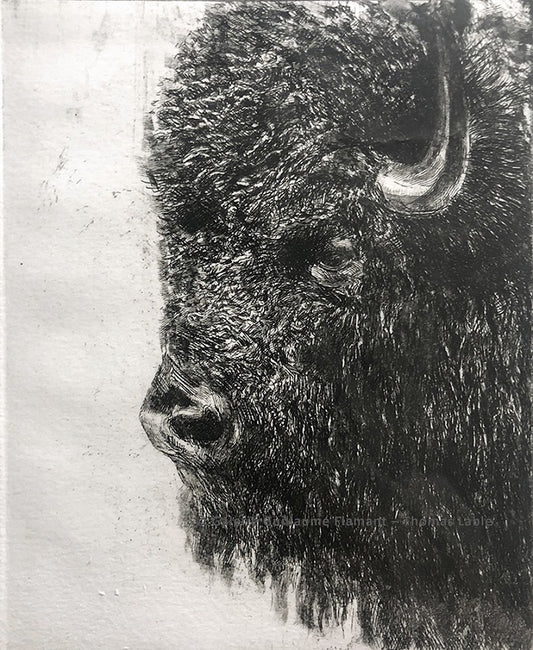 The Bison