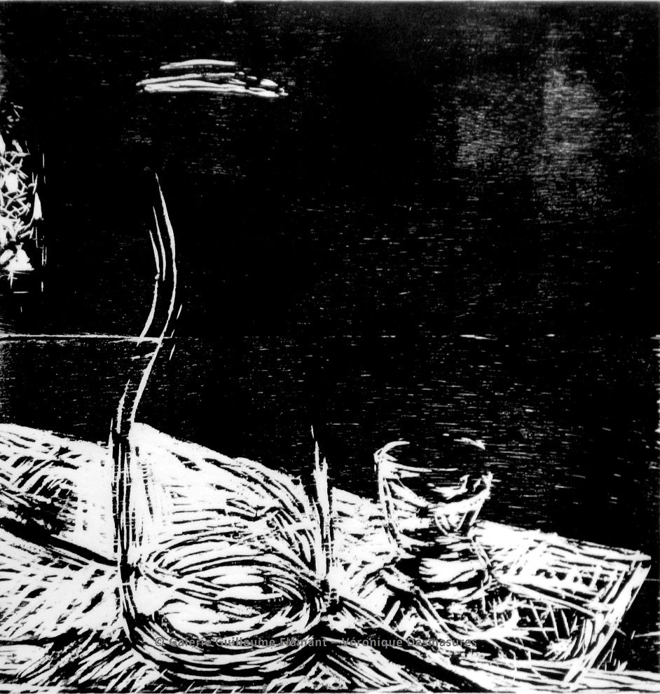 Erlebte Naturen - Clair Obscur #1