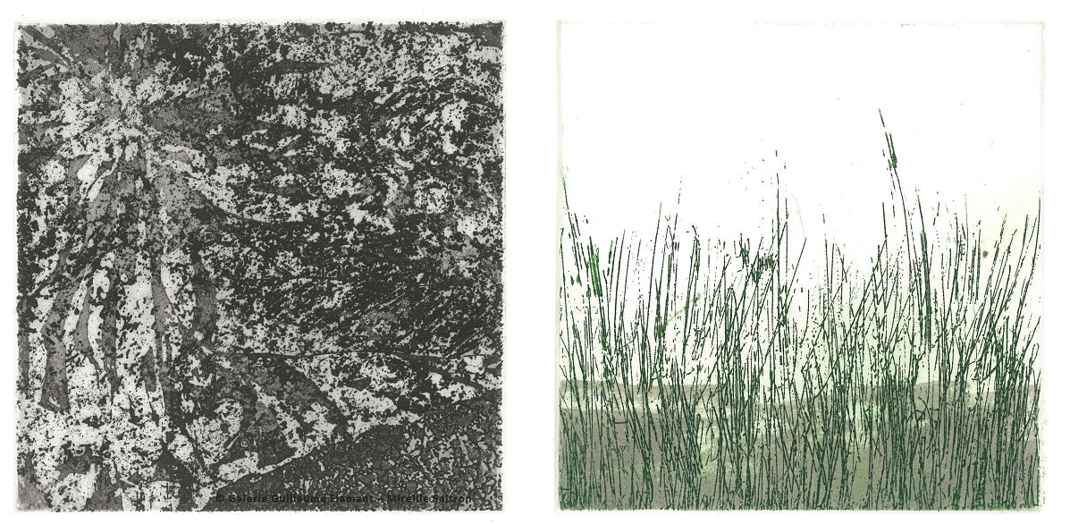 Bitumen Green, the embankment