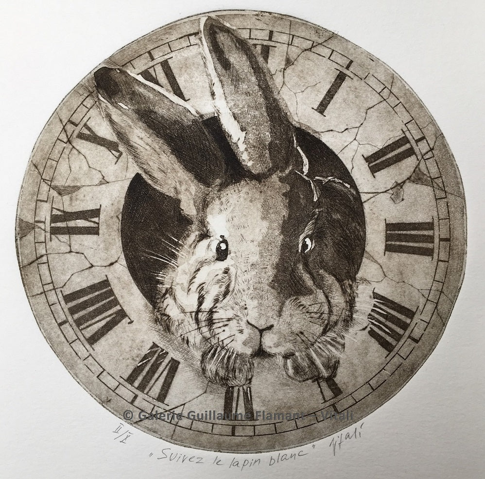 Follow the White Rabbit
