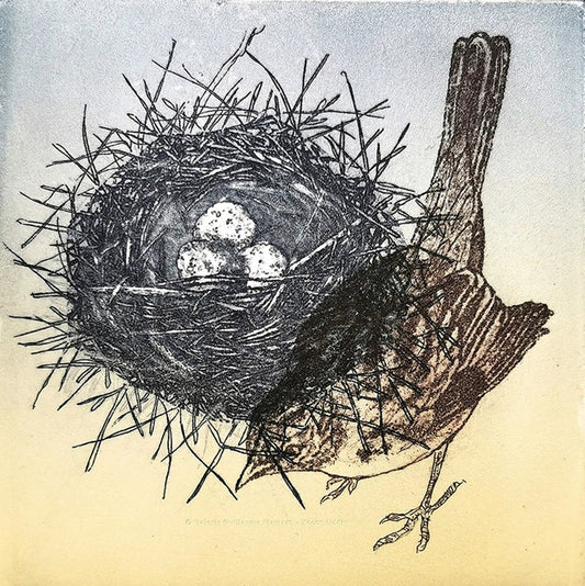 L’Odyssée Sauvage 1
