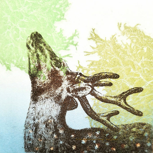 L’Odyssée Sauvage 2