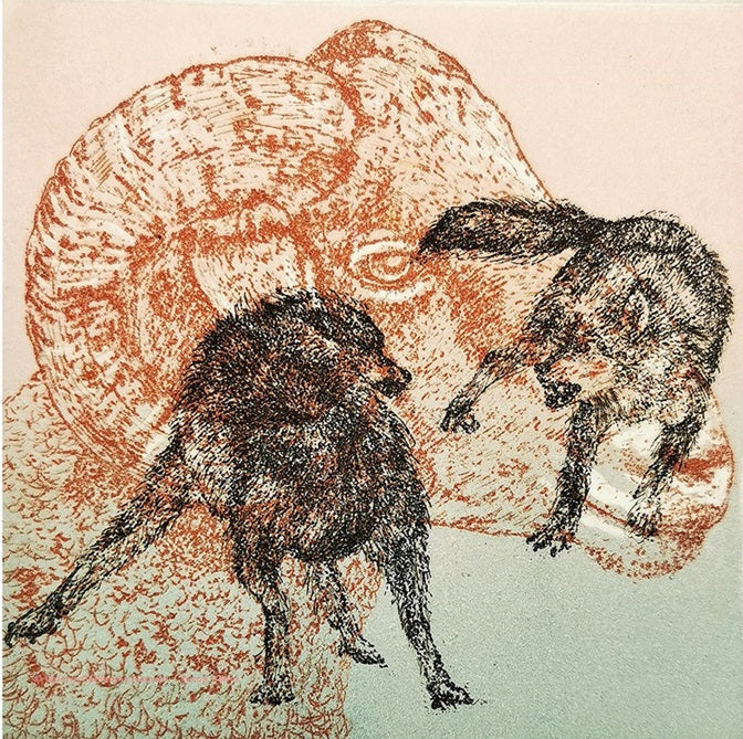 L’Odyssée Sauvage 3