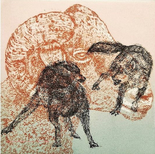 L’Odyssée Sauvage 3
