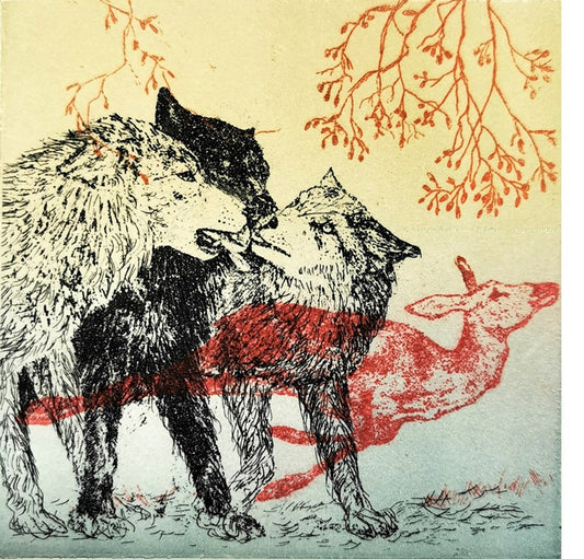 L’Odyssée Sauvage 4