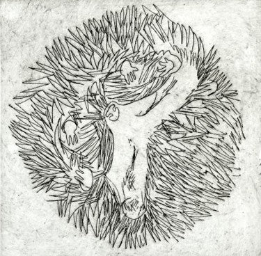 Le Hérisson - Série les hibernés
