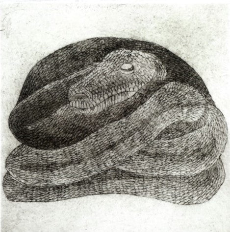 Le Serpent - Série les hibernés