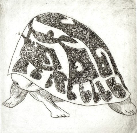 La Tortue - Série les hibernés